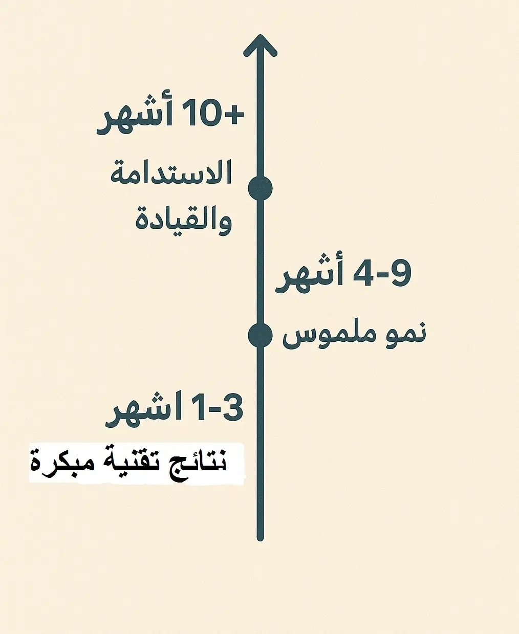 خدمات تحسين محركات البحث